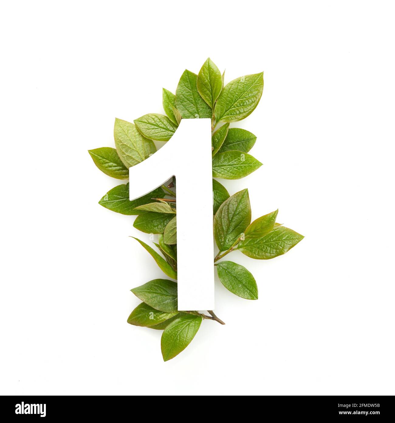 Number one shape with green leaves. Nature concept. Flat lay. Top view Stock Photo