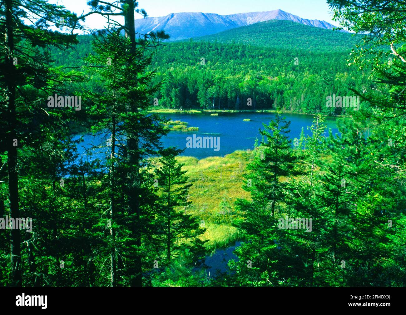 pnobscot river and mount katadin in baxter state park in maine in USA Stock Photo
