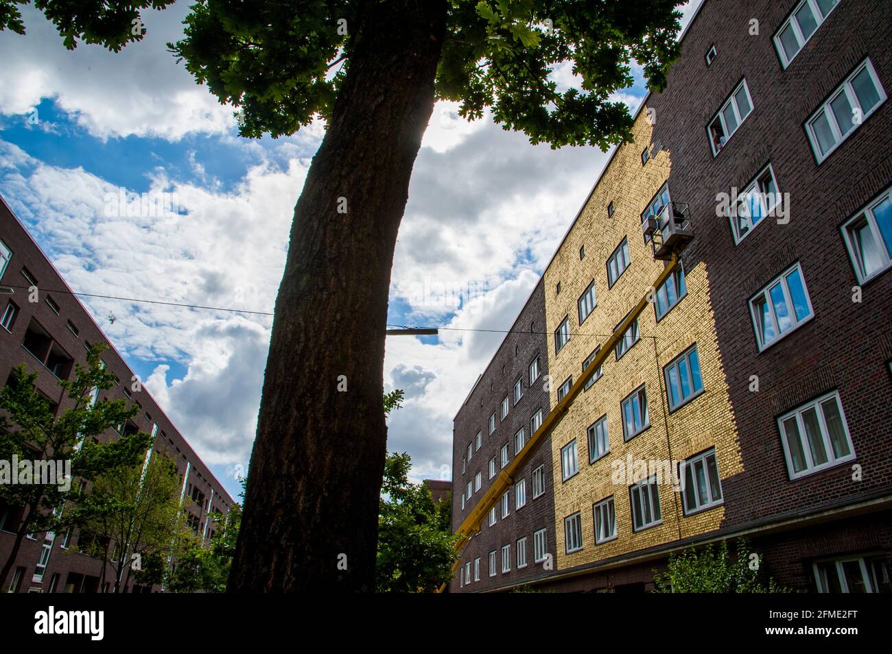 Künstler Boran Burchhardt trägt hauchdünnes Blattgold mit einem Spezialkleber auf eine 300 Quadratmeter große Hauswand in Hamburg-Veddel auf. Stock Photo