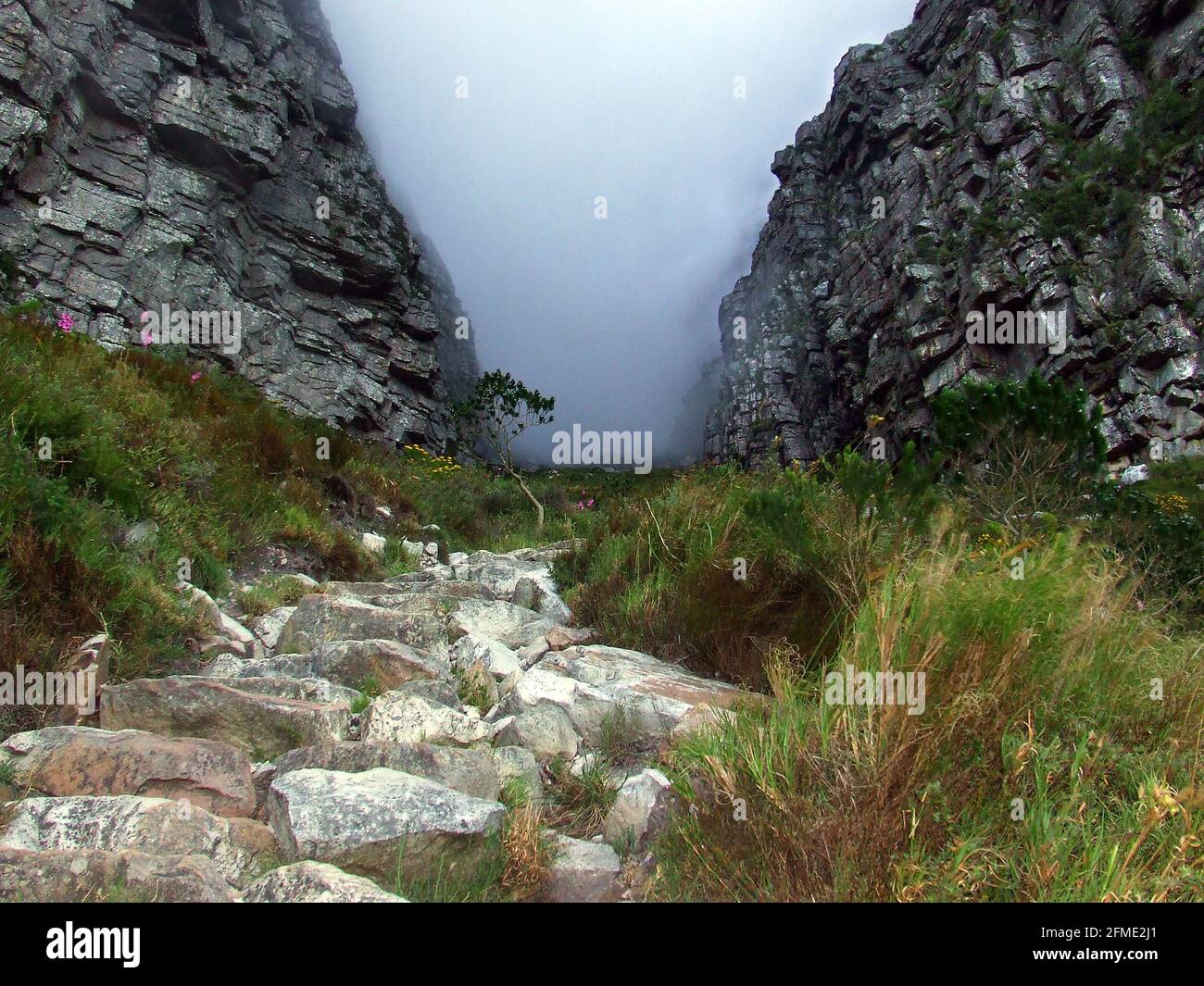 Mist in the Platteklip Gorge hiking route on Table Mountain, Cape Town in the Western Cape Province of South Africa Stock Photo