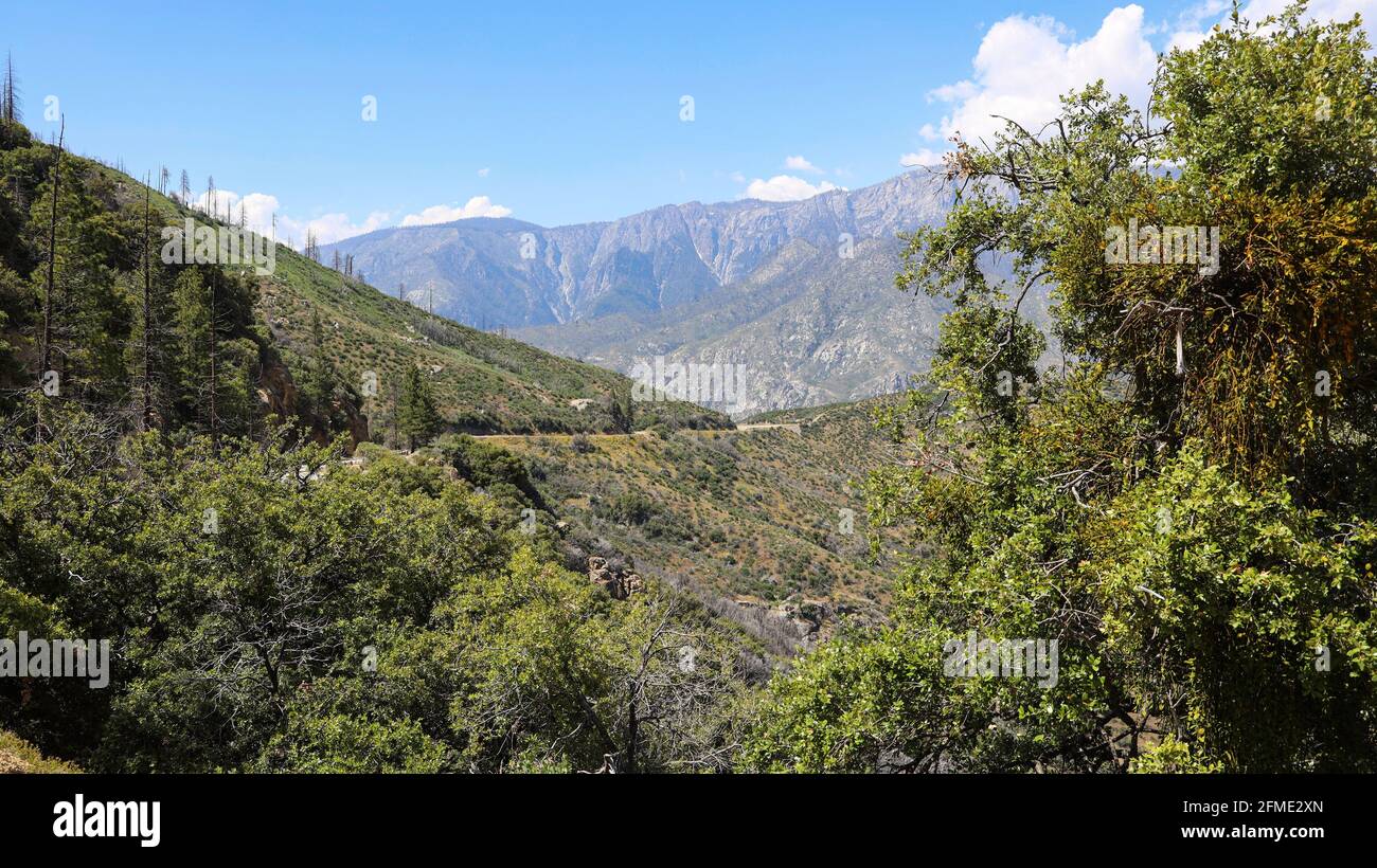 A View of the Sierra Nevada Mountains on the road into Kings Canyon National Park Stock Photo