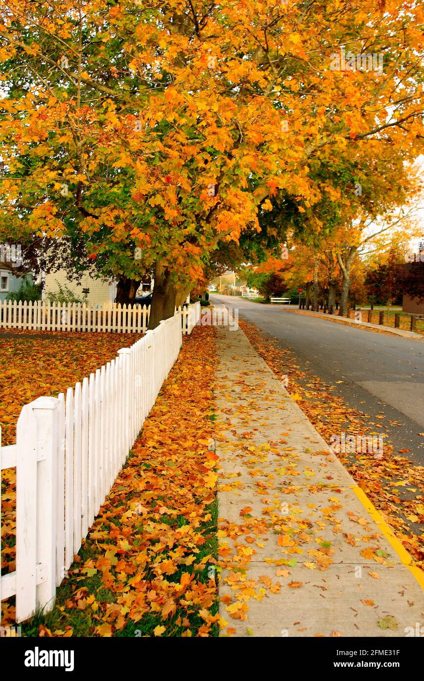 a town street in nova scotia with autumn color and white picket fence Stock Photo
