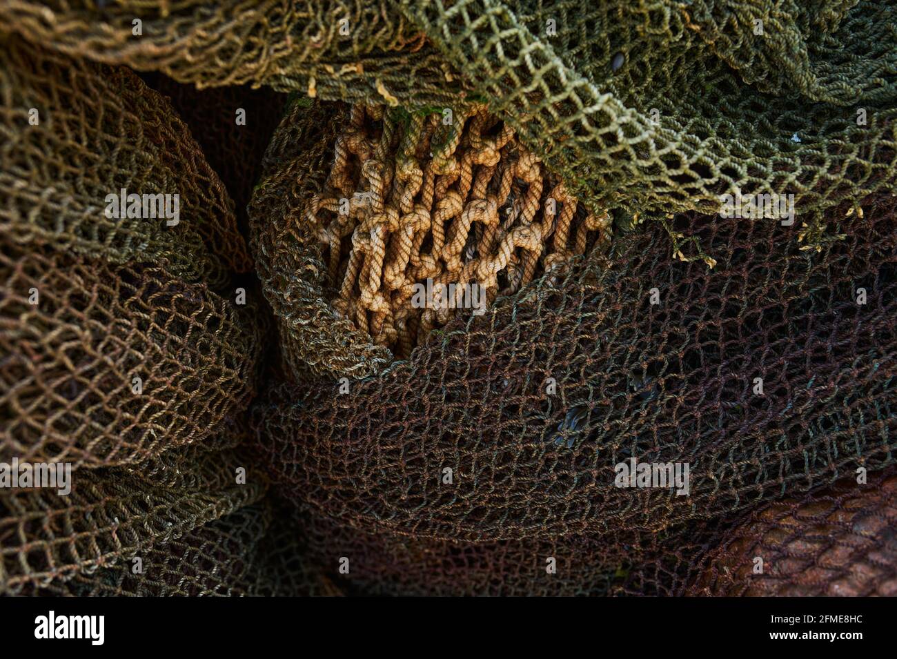 Fibers woven in a grid like structure hi-res stock photography and images -  Alamy