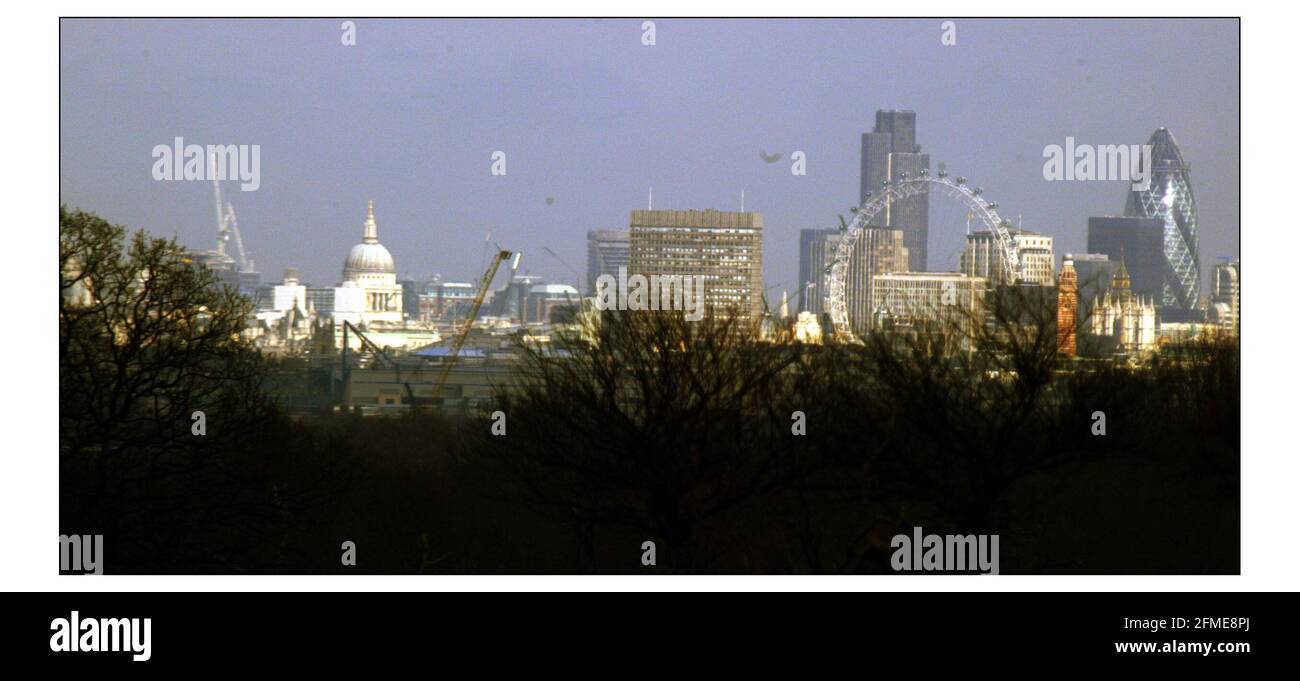 The view of St. Pauls Cathedral from  Richmond Park.pic David Sandison 23/2/2004 Stock Photo