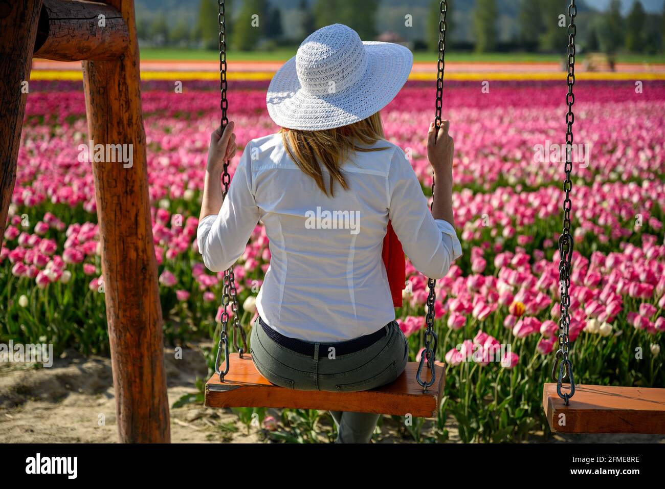 Well dressed middle aged woman wearing white straw hat, sitting in a swing in front of the rows of an amazing tulip plantation and enjoying the view o Stock Photo