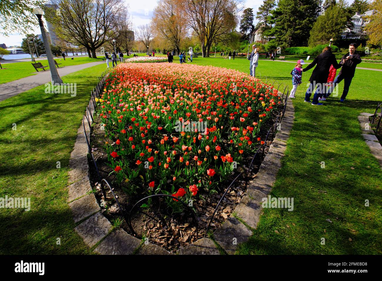 COVID 'crowds' enjoying a bed of beautiful mixed yellow, orange and red tulips at the Canadian Tulip Festival 2021 in Ottawa, Ontario, Canada. Stock Photo