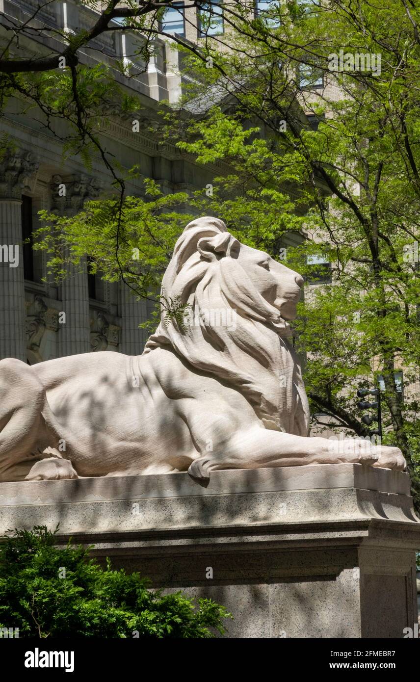 National library entry hires stock photography and images Alamy