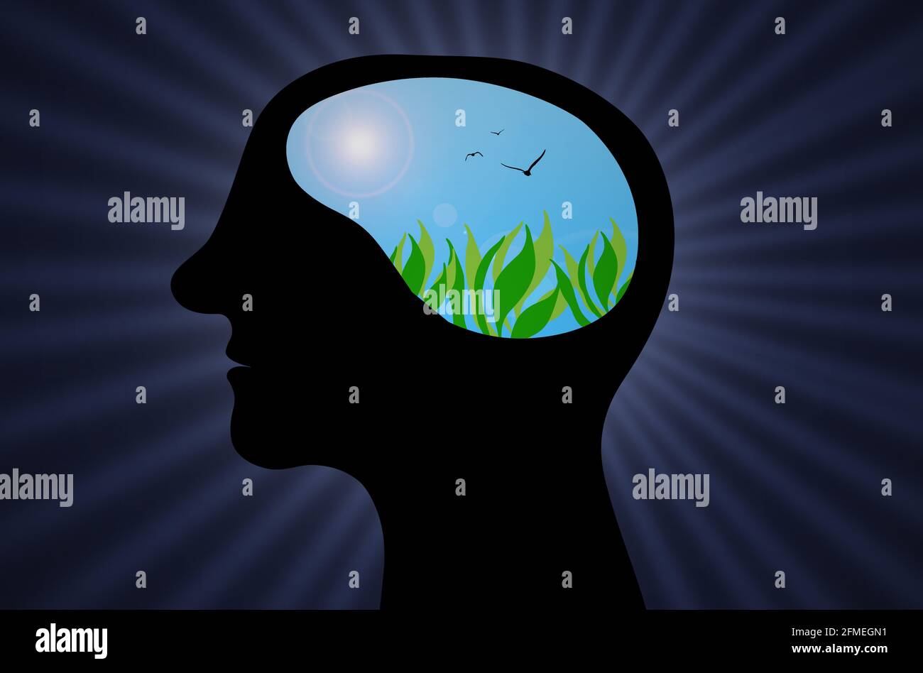 Man head brain thinking in nature dream with positive thoughts, Visualization and Imagination, Mental health, Mind power Concept. Stock Photo