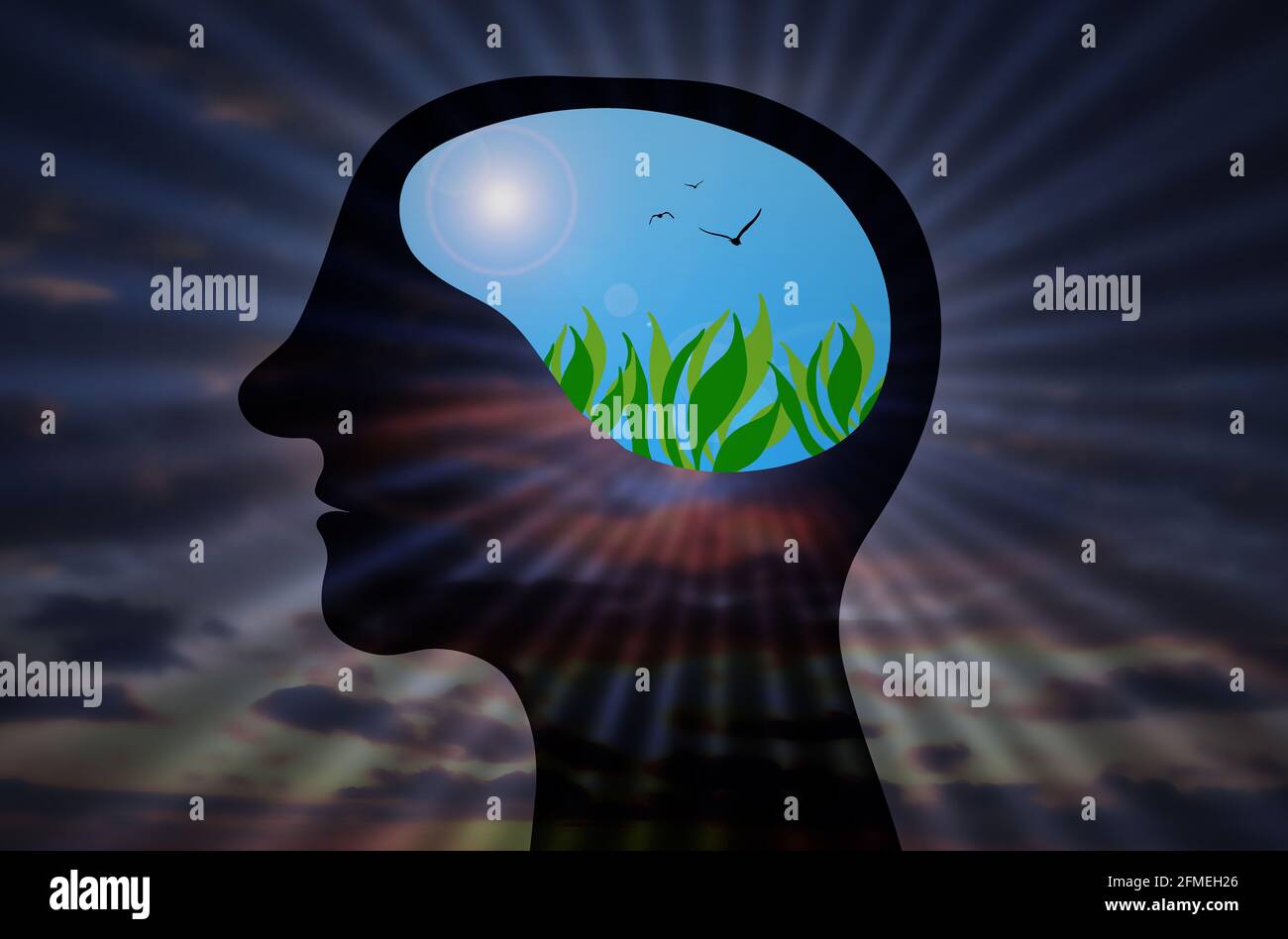 Human Head With Positive imagination. Think positive Brain Power and energy Concept. Sun rays In man heard with positive dreamy visualization concept Stock Photo