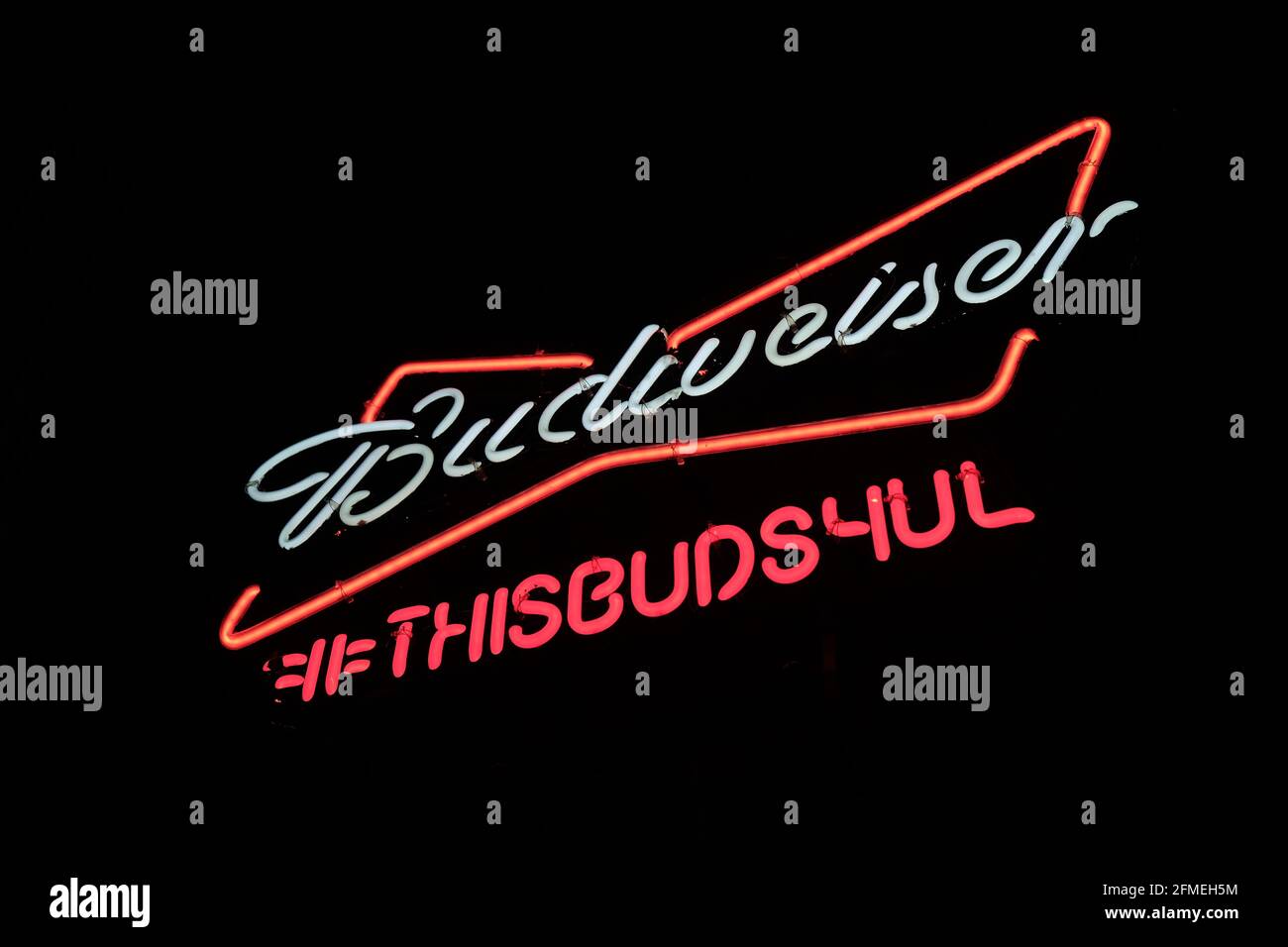 This is a photograph of a neon Budweiser bar window sign in downtown Lafayette Louisiana Stock