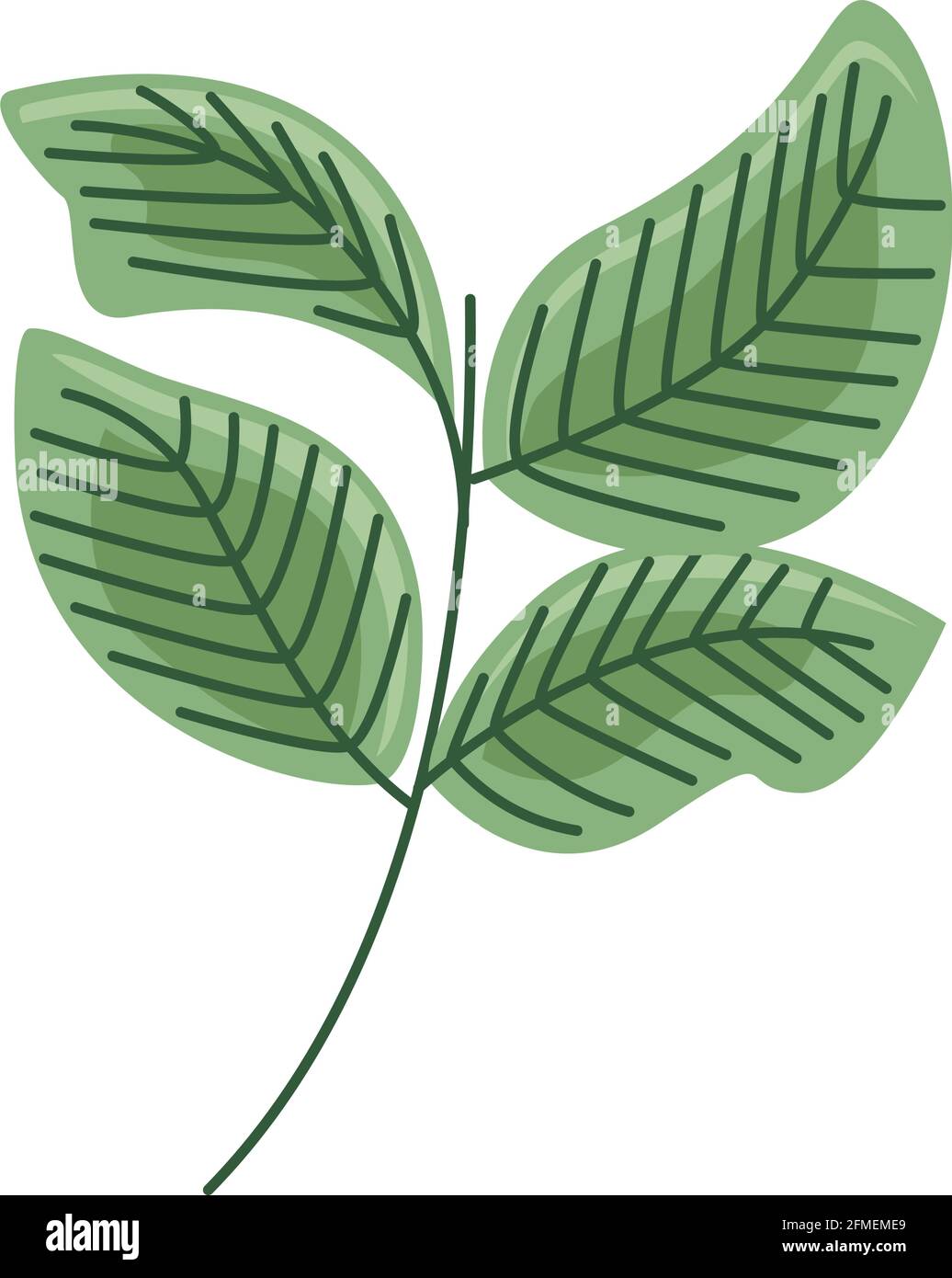 branch with leaves nature icon Stock Vector Image & Art - Alamy