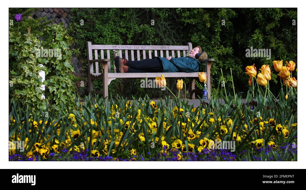 A memorial bench to Ian Dury in poets corner, Pembrook Lodge, Richmond park. Jane Mills enjoys the sun and the music of Dury by pluging her headphones into sockets in the arm rests of this special bench.pic David Sandison 29/4/2002 Stock Photo