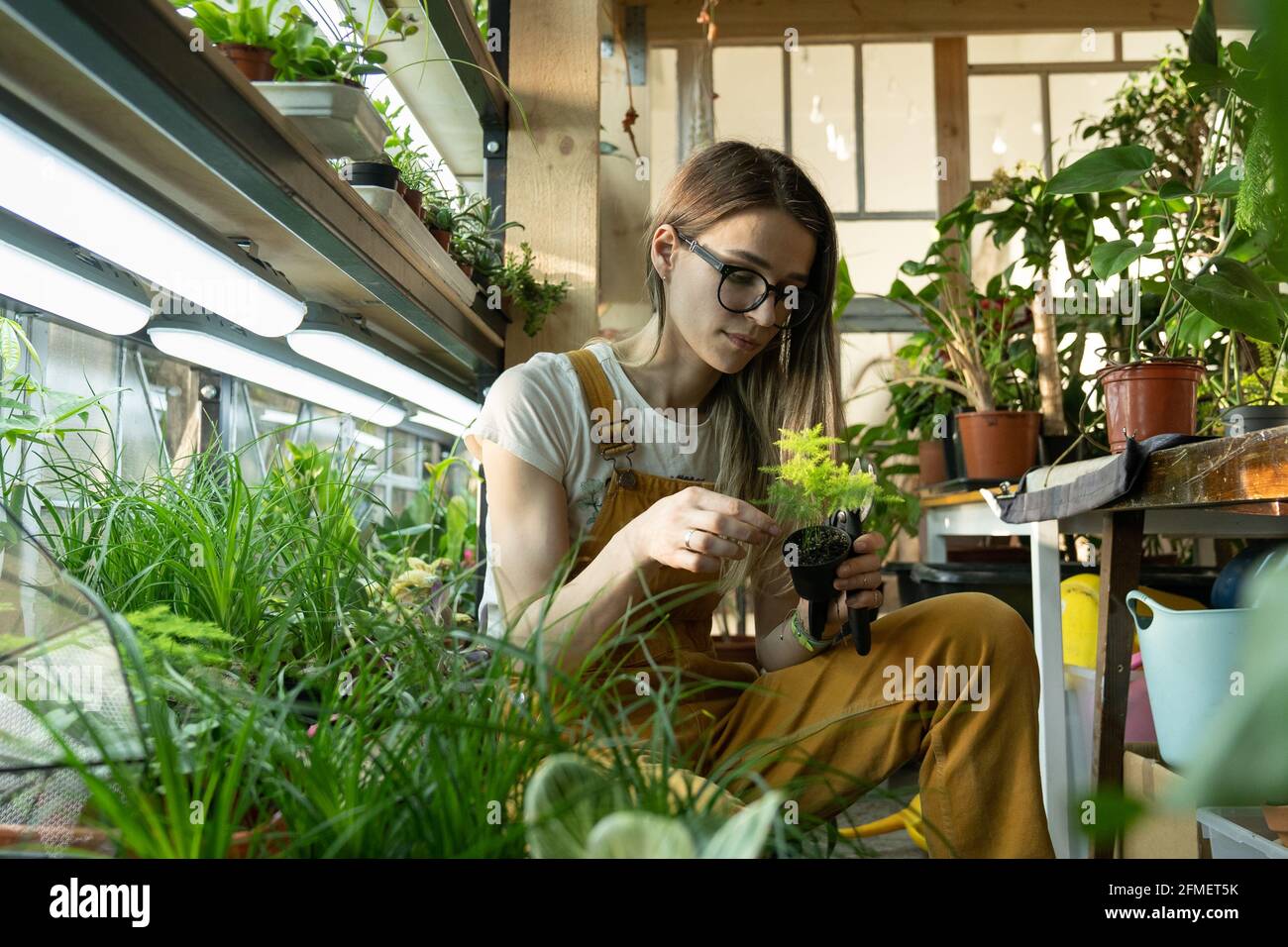 Young female care of potted plants after work, relax in indoor garden. Florist woman entrepreneur Stock Photo
