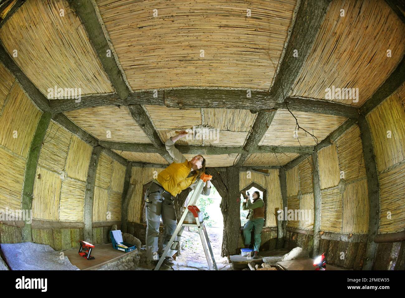 08 May 2021, Saxony-Anhalt, Wörlitz: The graduate restorer Kerstin Klein (l) and the sculptor Katharina Günther apply the last parts of rind boards and reeds to missing parts on the over 230-year-old bark hut in the Wörlitz Park. The small wooden house, also known as the Wurzelhütte, has been extensively restored in the last two years. The Borkenhäuschen served Prince Franz as a private bathhouse for changing clothes before swimming in Lake Wörlitz and is clad on the outside with gnarled oak trunks, slabs and bark. Inside, coffers of elm half-trunks and with hand-woven reed mats and rush braid Stock Photo