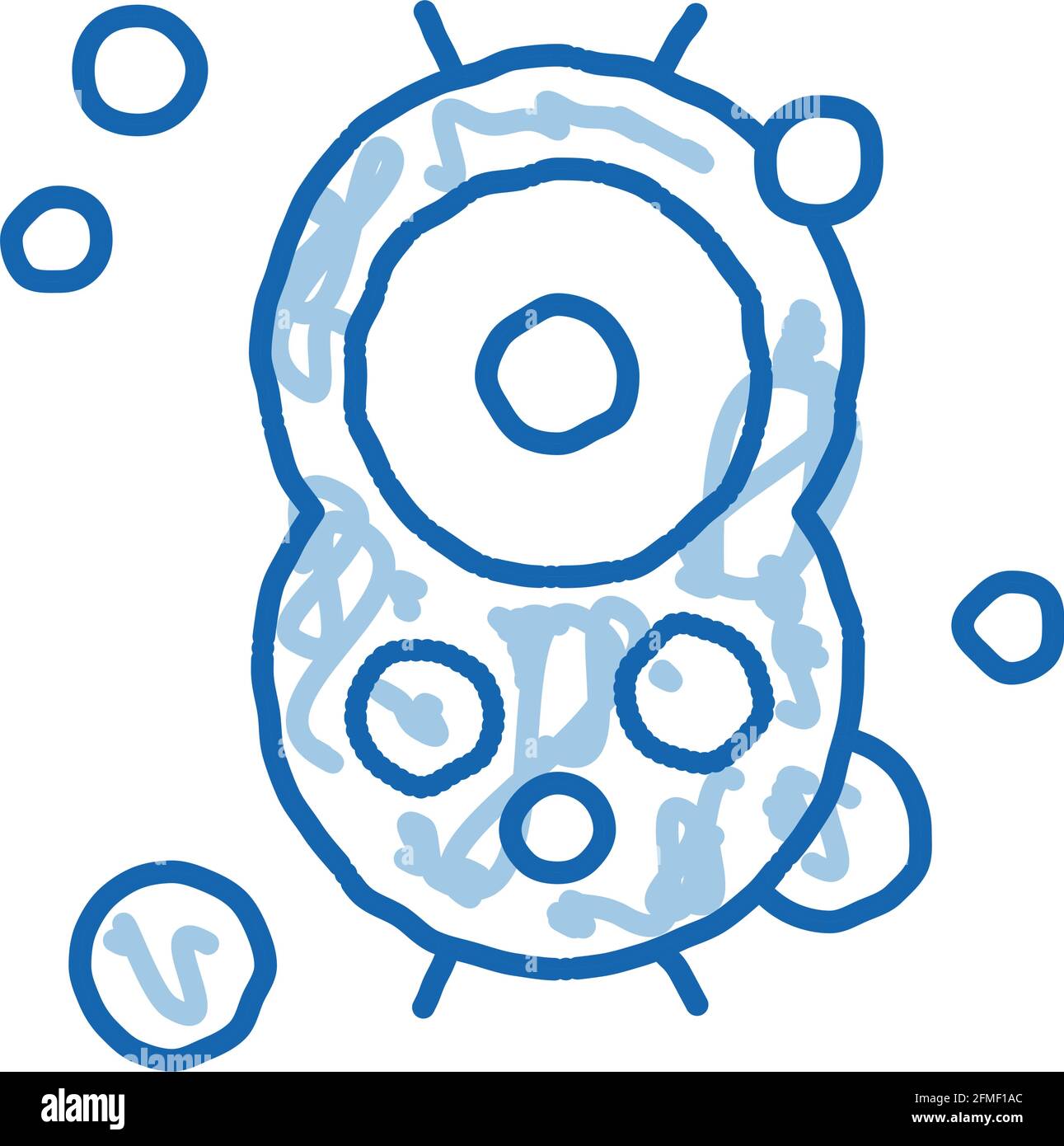 Gram positive bacterium bifidobacterium hi-res stock photography and ...