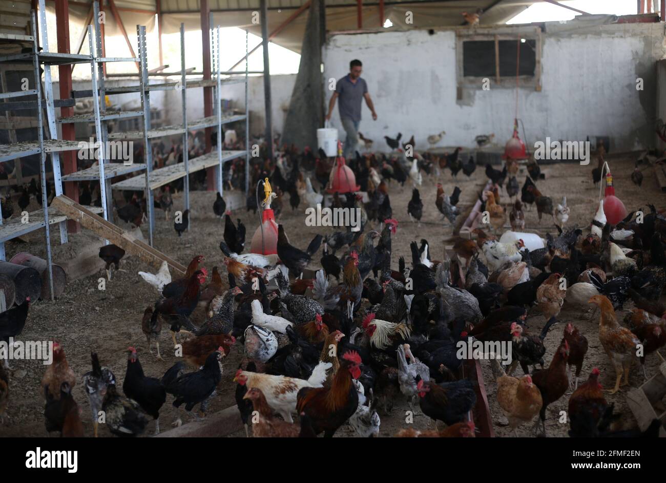 Beit rima hi-res stock photography and images - Alamy