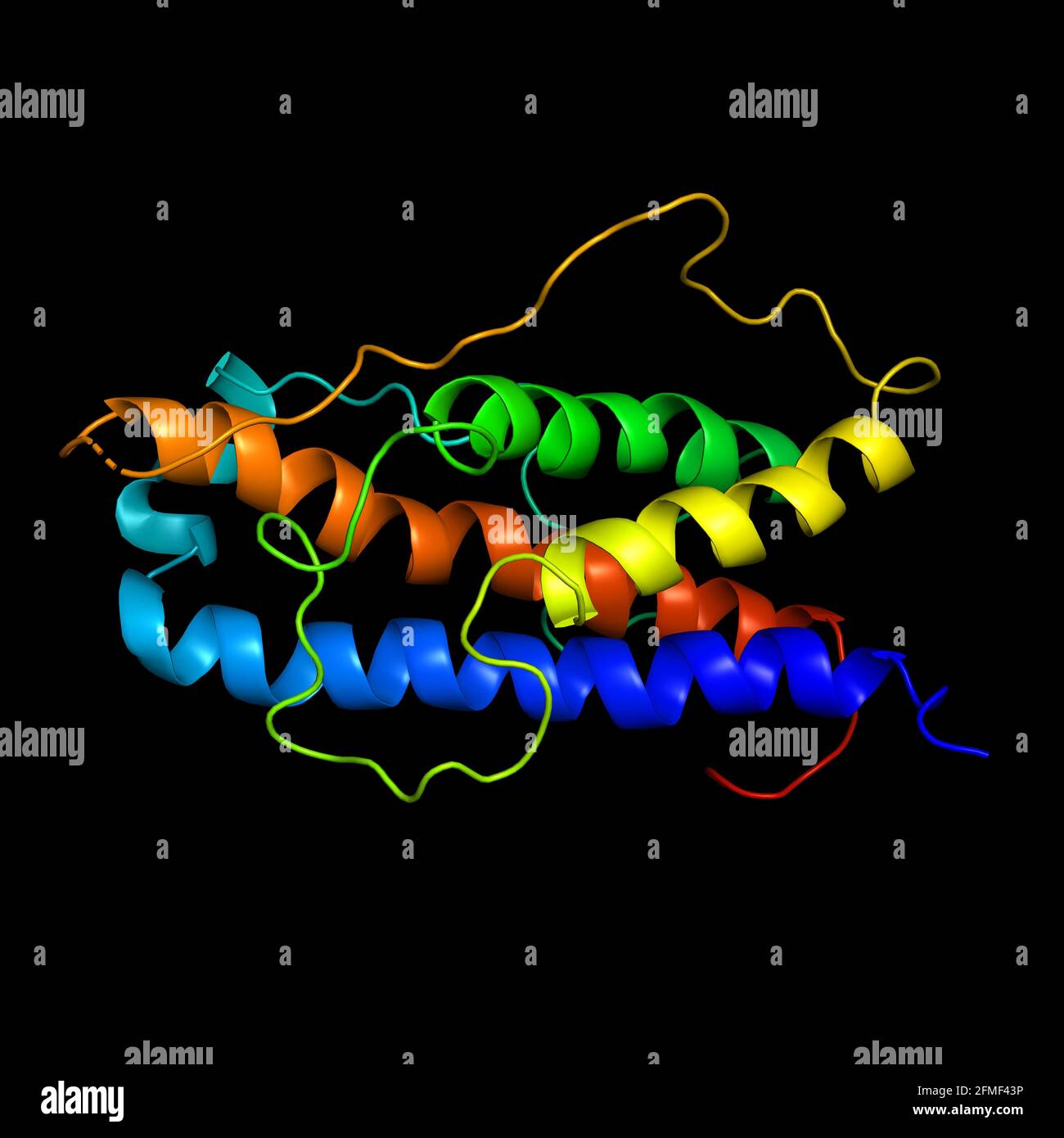 Human Growth Hormone Hgh Somatotropin Protein Natural Hormone That Is Used Both As A Medicine And As A Doping Agent Cartoon Model Secondary Structure Colouring Helices Blue Stock Photo Alamy