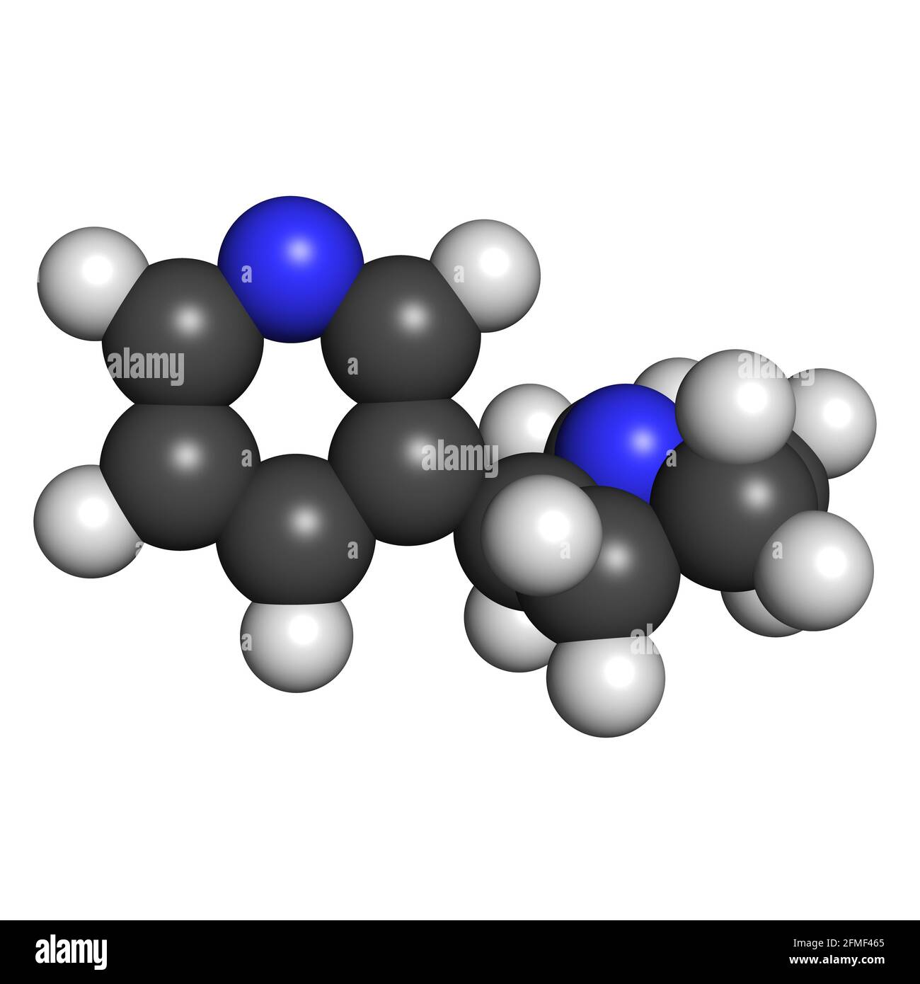 Nicotine tobacco drug stimulant molecule 3D render chemical structure Stock  Photo