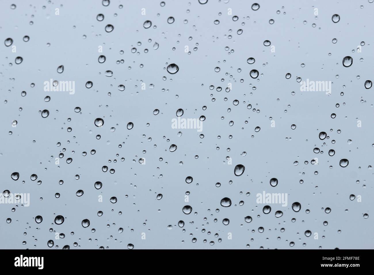 Raindrops on the window pane Stock Photo
