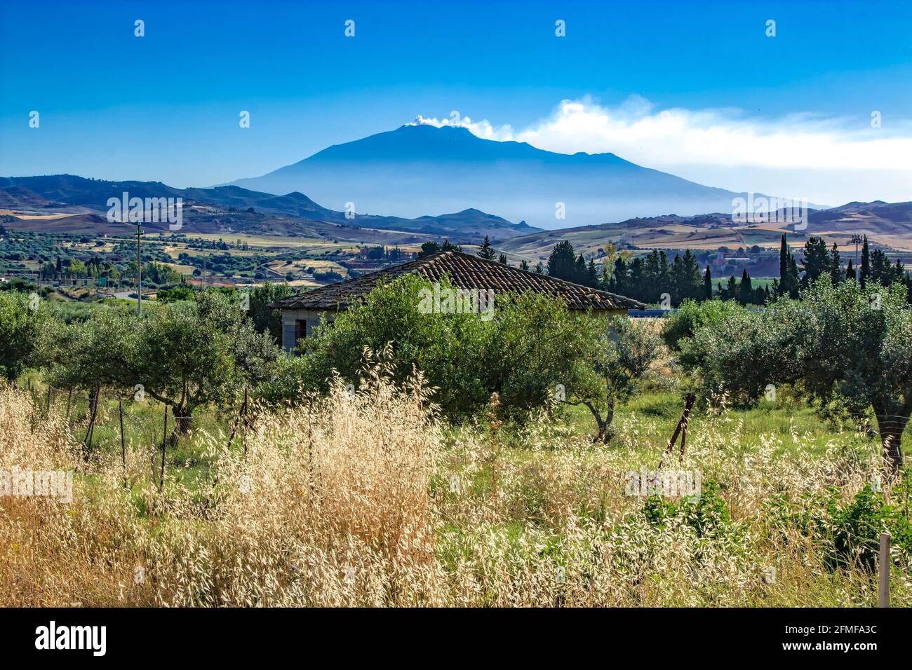 Italy, Sicily, Enna Province,  the Mount Etna lis Stock Photo