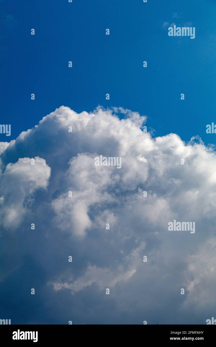 Cumulus clouds against a blue sky Stock Photo - Alamy