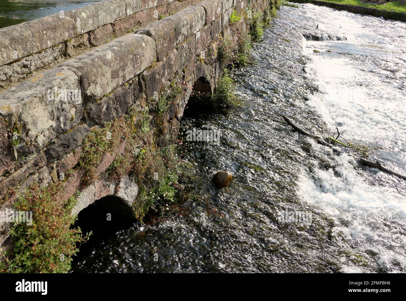 Medieval stone footbridge over the Ruente River a tributary of the River Saja Ruente Cantabria Spain Stock Photo