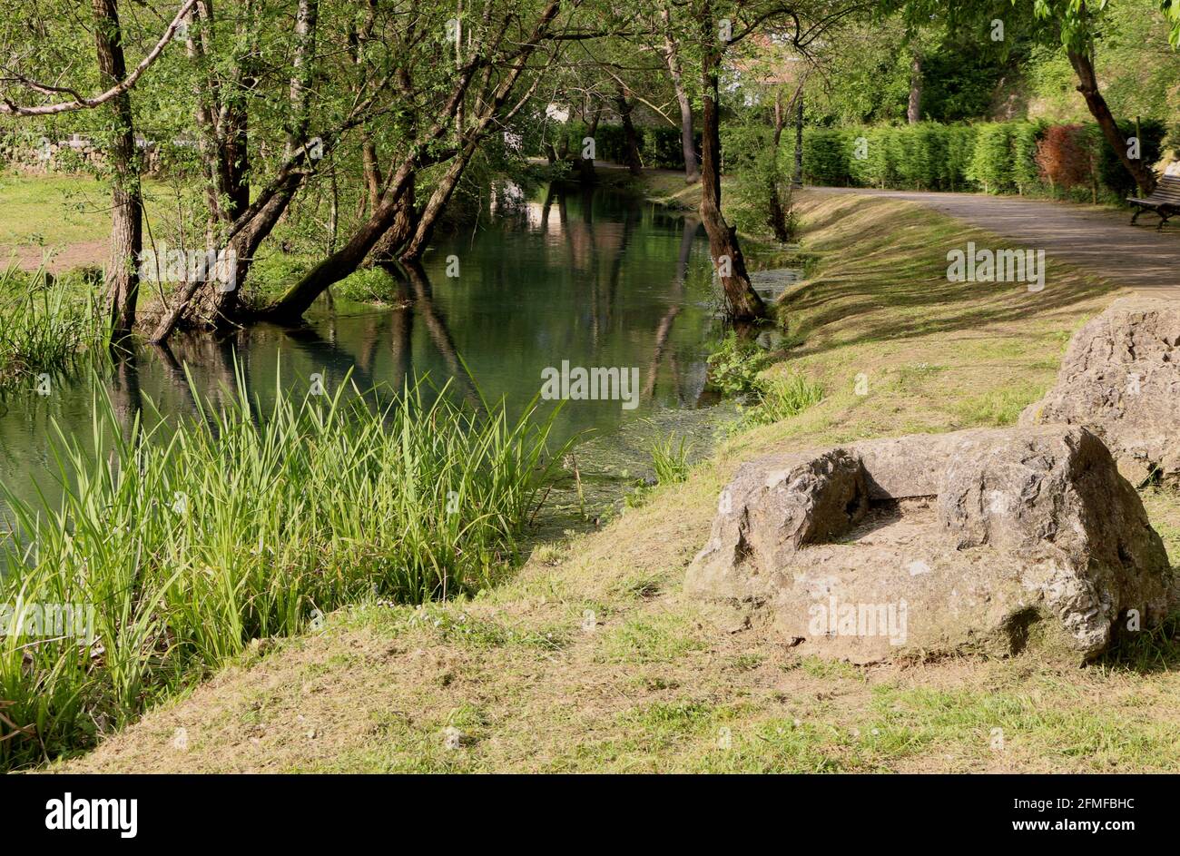 Afternoon sun looking along the river bank of the Ruente River a tributary of the River Saja Ruente Cantabria Spain Stock Photo