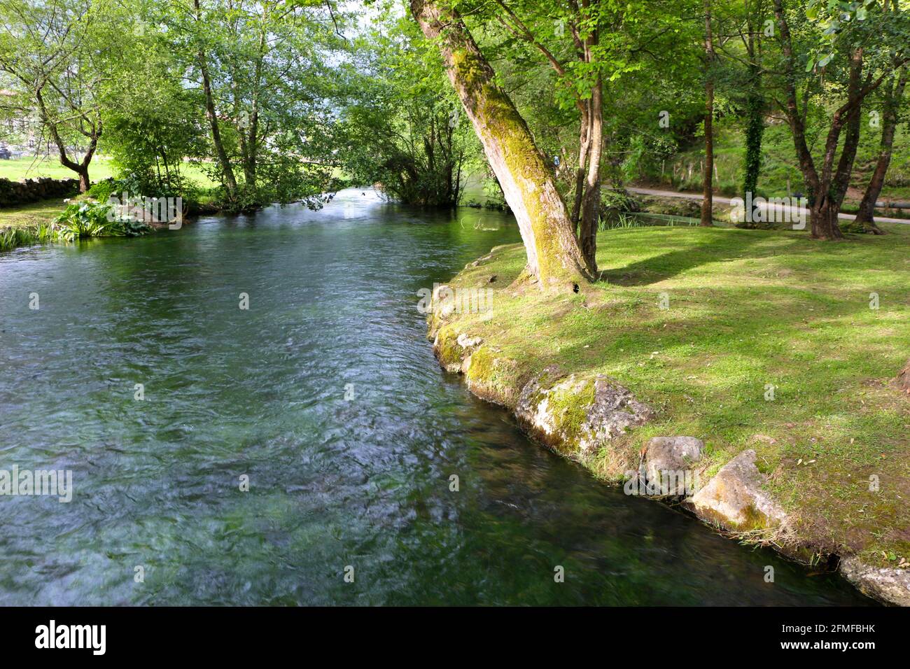 Afternoon sun looking along the river bank of the Ruente River a tributary of the River Saja Ruente Cantabria Spain Stock Photo