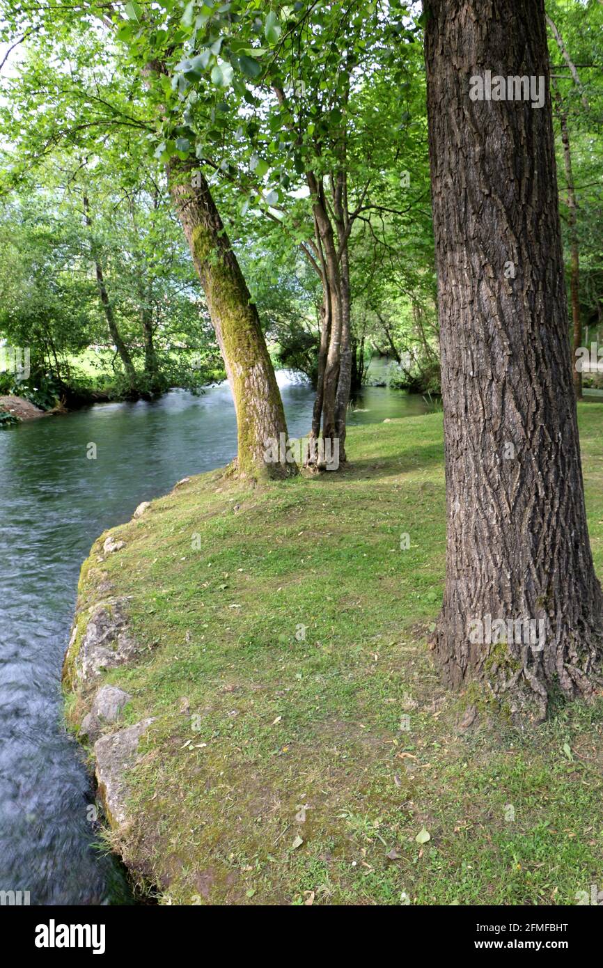 Afternoon sun looking along the river bank of the Ruente River a tributary of the River Saja Ruente Cantabria Spain Stock Photo