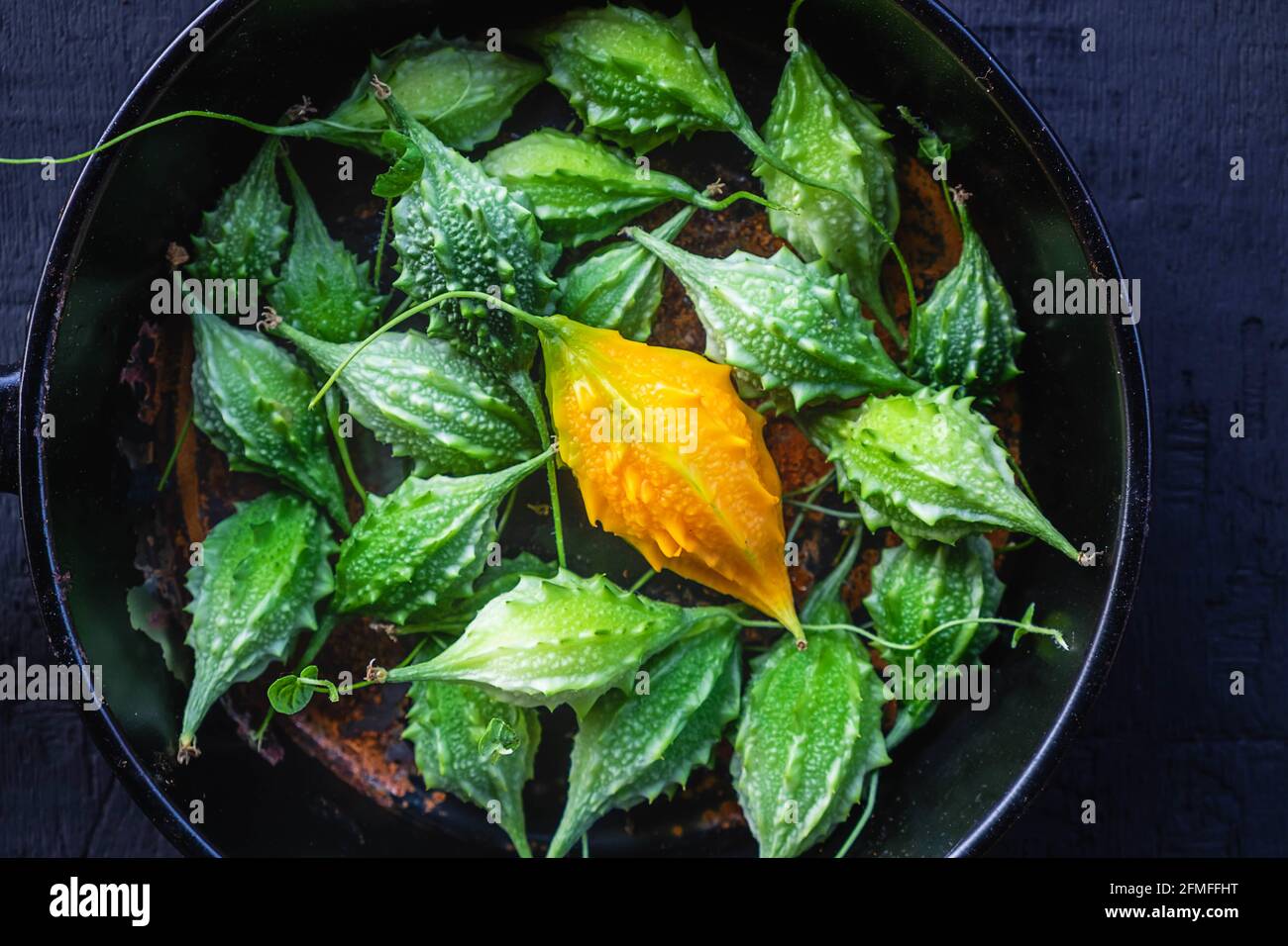 Fried stuffed bitter gourd hires stock photography and images Alamy