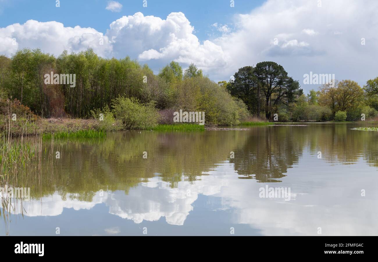 Ornamental Lake on Southampton Common Stock Photo Alamy