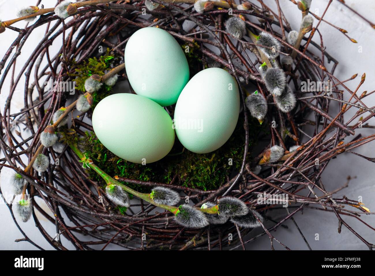 Easter eggs in natural nest with moss and willow twigs on white concrete background. Top view. Stock Photo