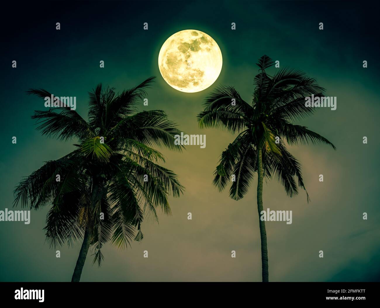 Beautiful night landscape of green sky with bright full moon over coconut palm. Serenity nature background. Outdoor at nighttime. The moon taken with Stock Photo