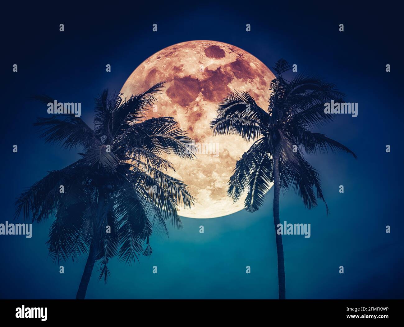 Red moon or blood moon. Beautiful night landscape of blue sky with super moon behind coconut palm. Serenity nature background. The moon taken with my Stock Photo