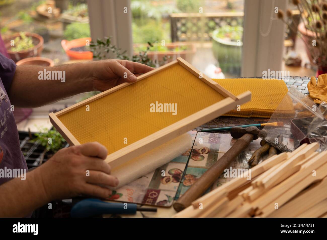 A beekeeper assembling DN4 brood frames for a beehive Stock Photo