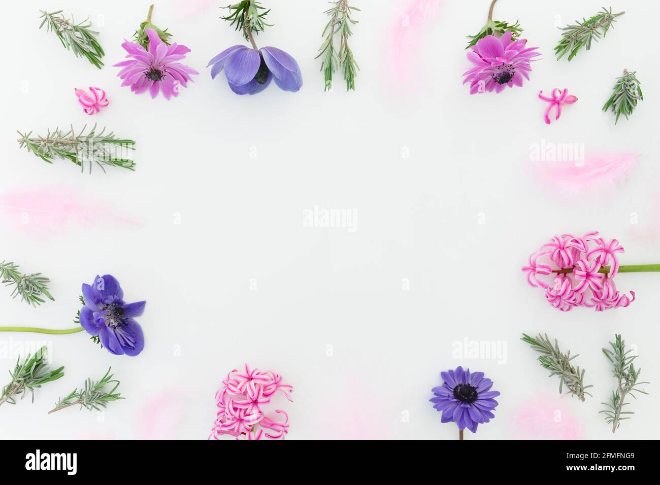 Floral frame with pink and blue flowers and feathers on white. Flat lay, top view. Stock Photo