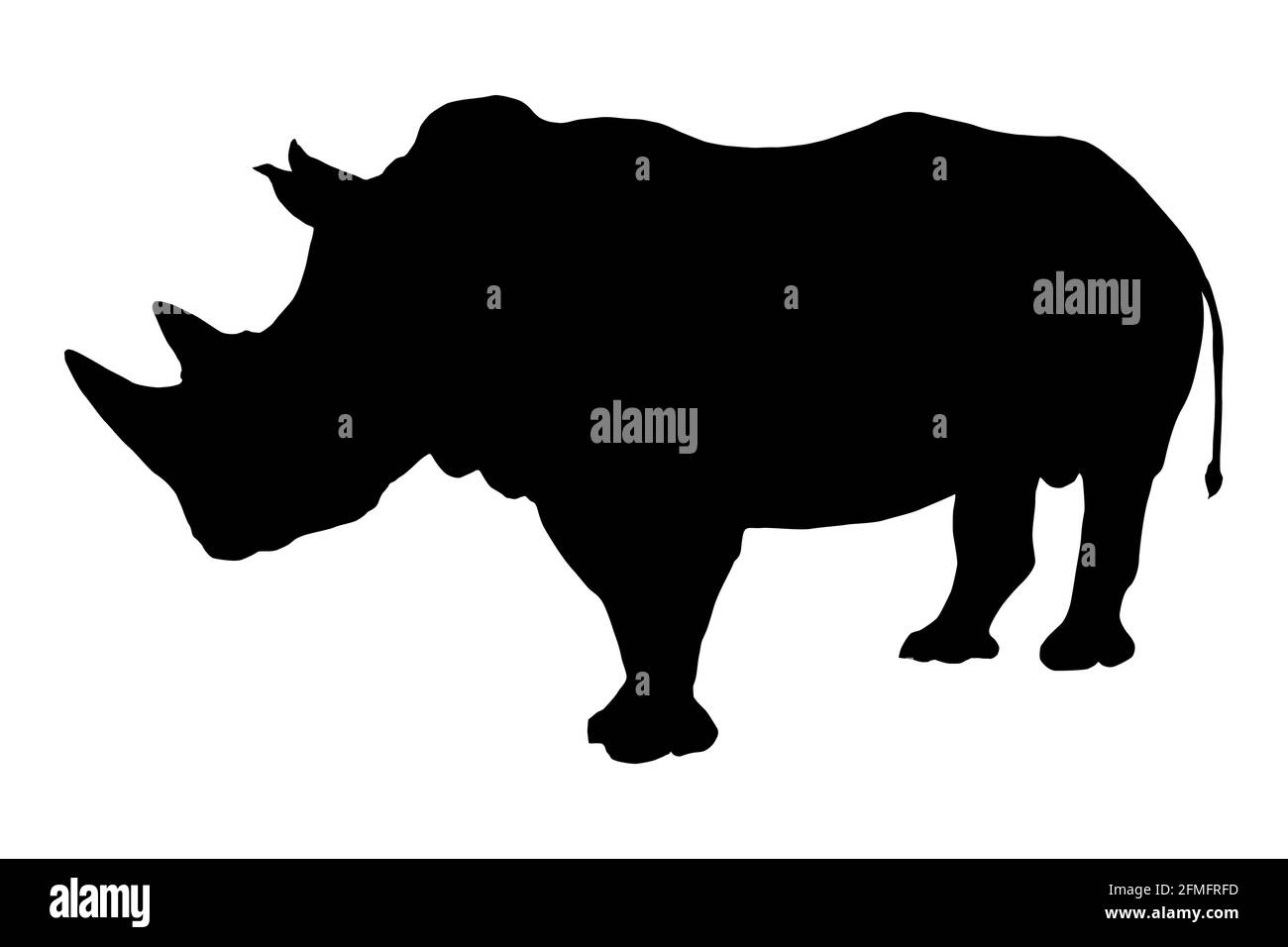 Black rhinoceros or hook-lipped rhinoceros (Diceros bicornis) Stock Vector