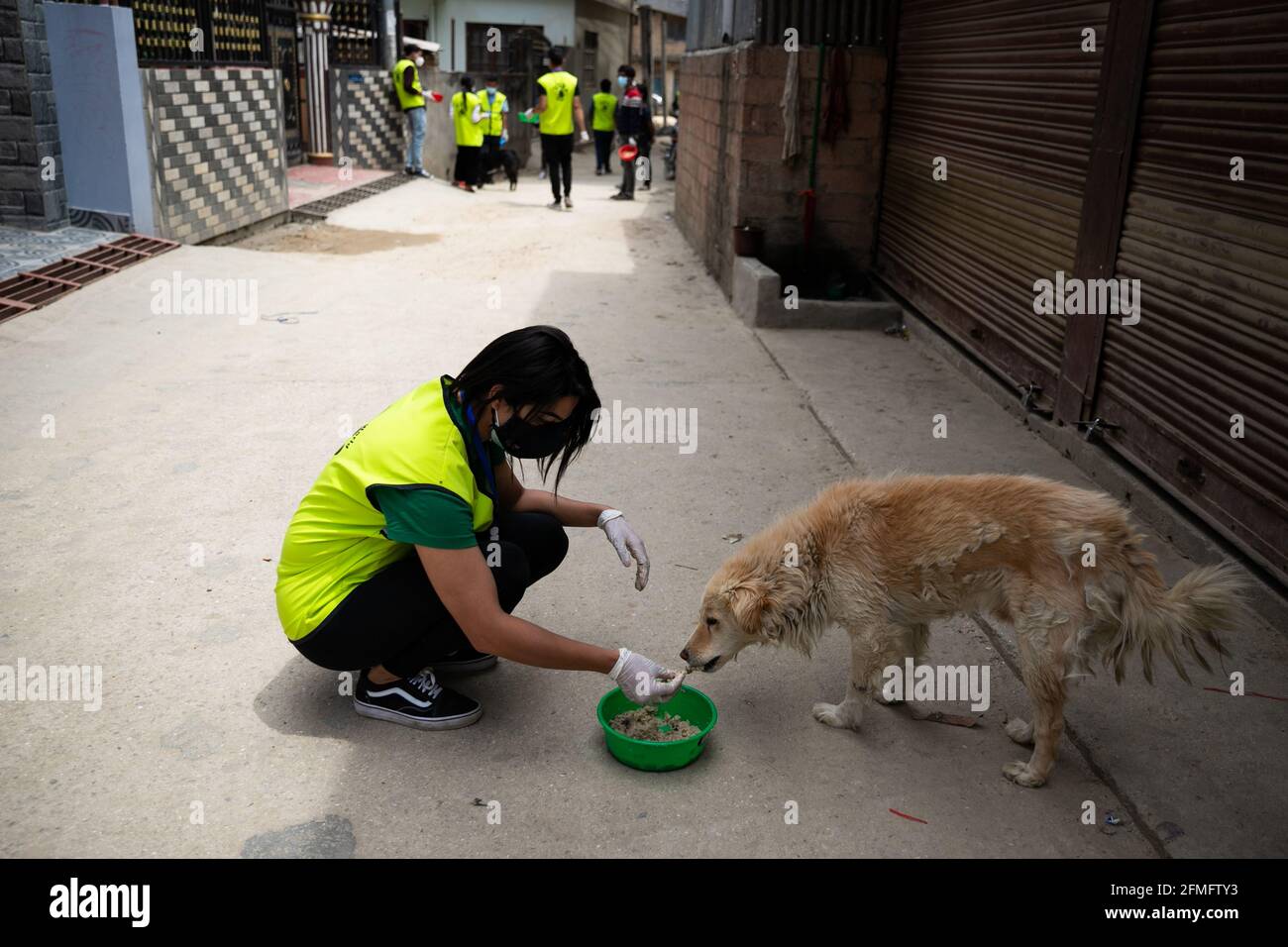 How Long Can A Stray Dog Survive Without Food