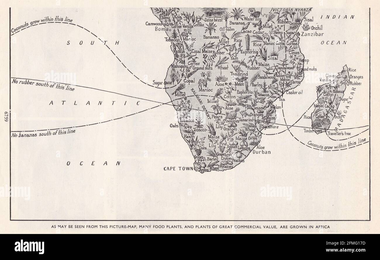 Vintage illustrated map of Africa and the amazing wealth of her plant life 1940s. Stock Photo