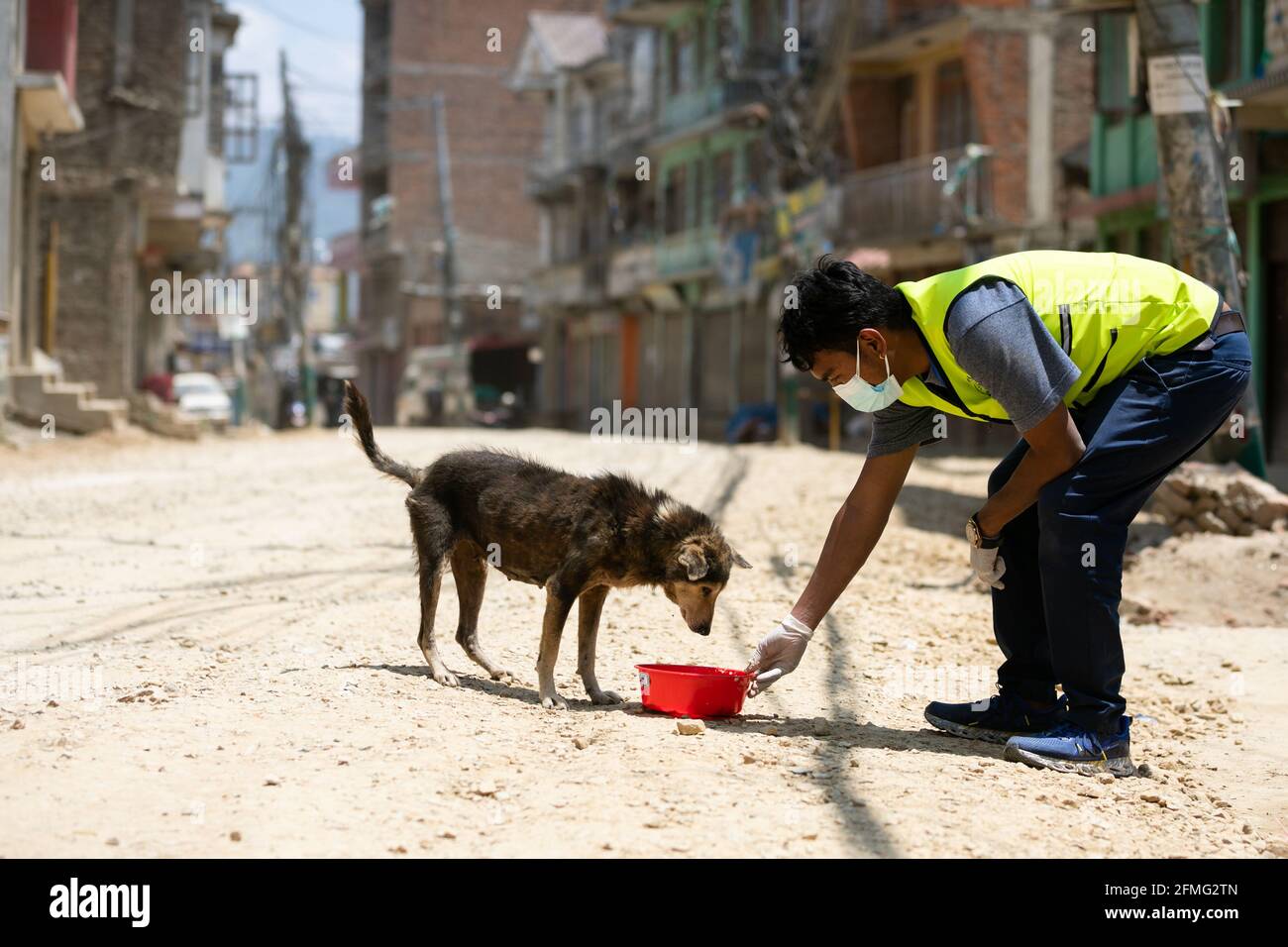 How Long Can A Stray Dog Survive Without Food