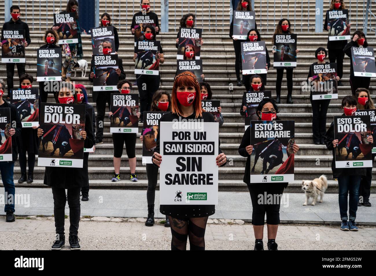 Animal rights activists carrying placards with bullfighting scenes during a  protest against bullfighting as the bullfighting season starts in Madrid  next week for San Isidro festivity. Animal rights group Anima Naturalis  gathered