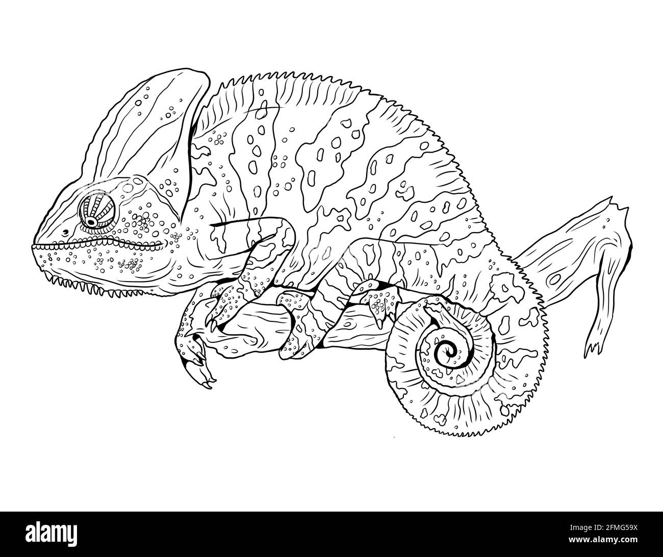 Chameleon in nature illustration. Coloring template for kids. Stock Photo