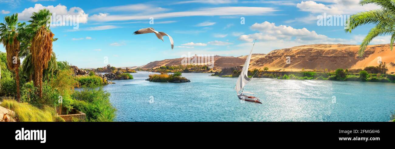 Panoramic view of river Nile in Aswan, sailing boat trip Stock Photo ...