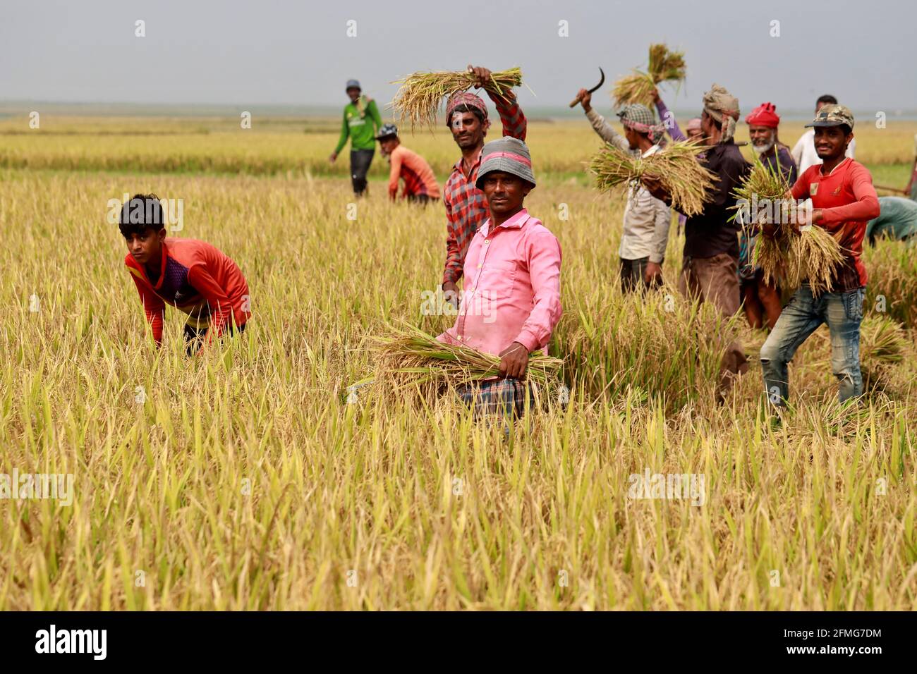 kishoreganj, Bangladesh - May 02, 2021: Bangladeshi farmers working on ...