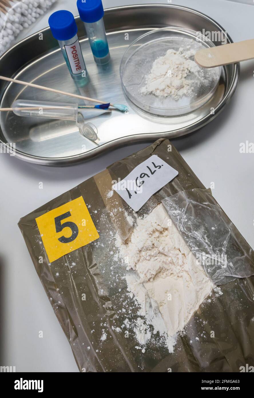 Police investigate positive for drugs in crime lab, conceptual image Stock Photo