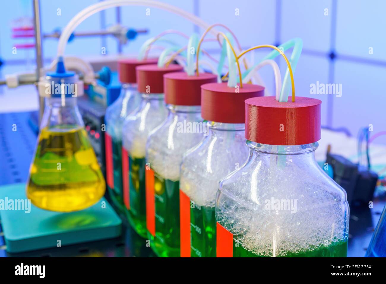 Experiments with obtaining electricity and bacteria processing industrial waste. Ecological electricity laboratory Stock Photo