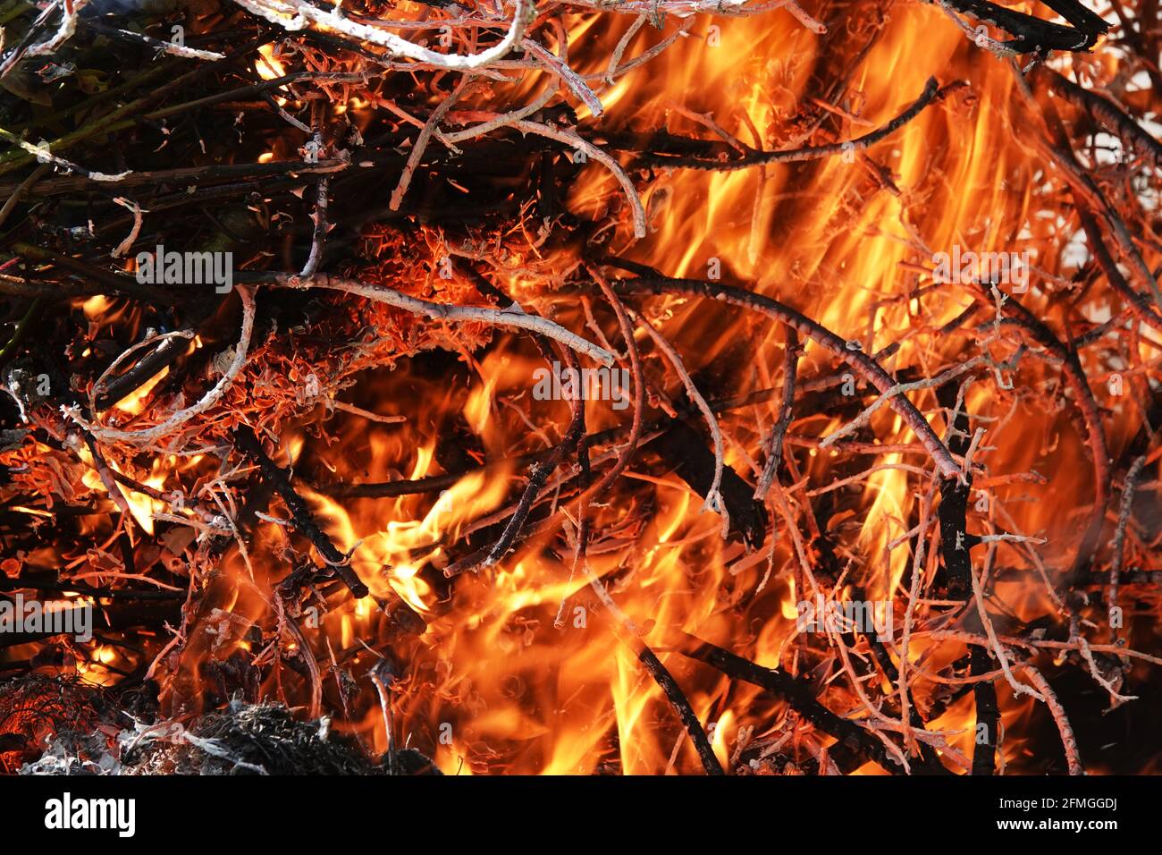 Bonfire branches close up hi-res stock photography and images - Alamy