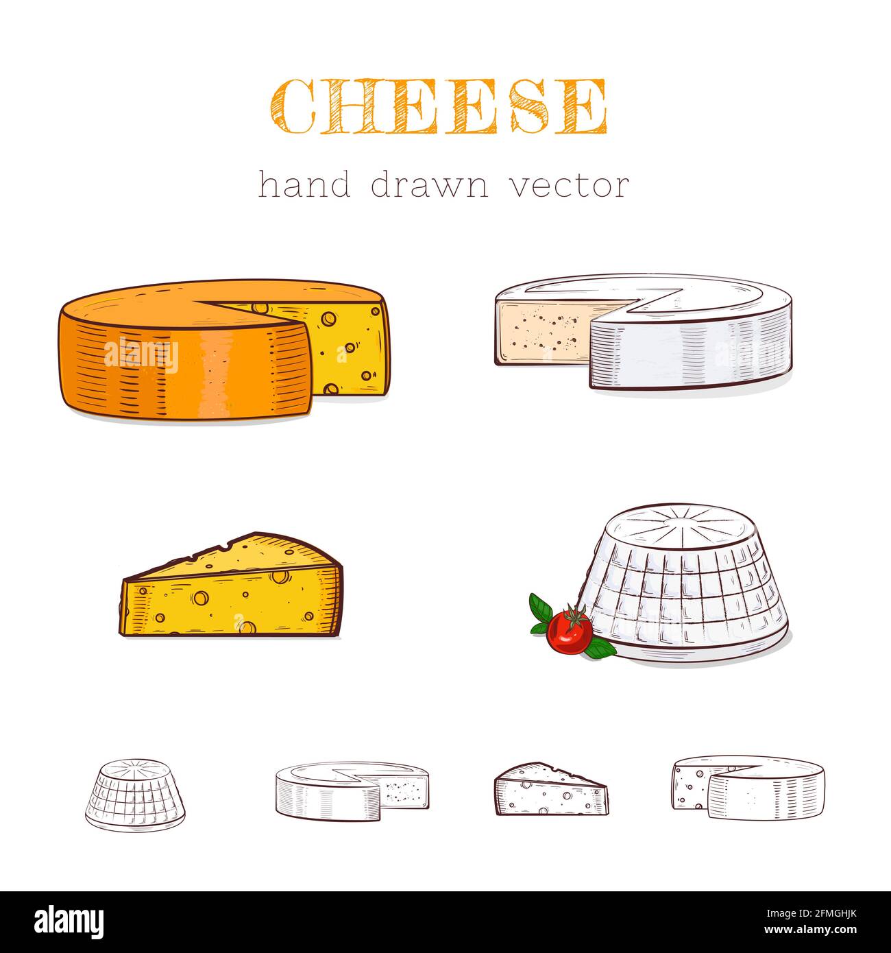 Vector hand drawn illustration of cheese types. Colored and outlines. Isolated on white. Stock Vector