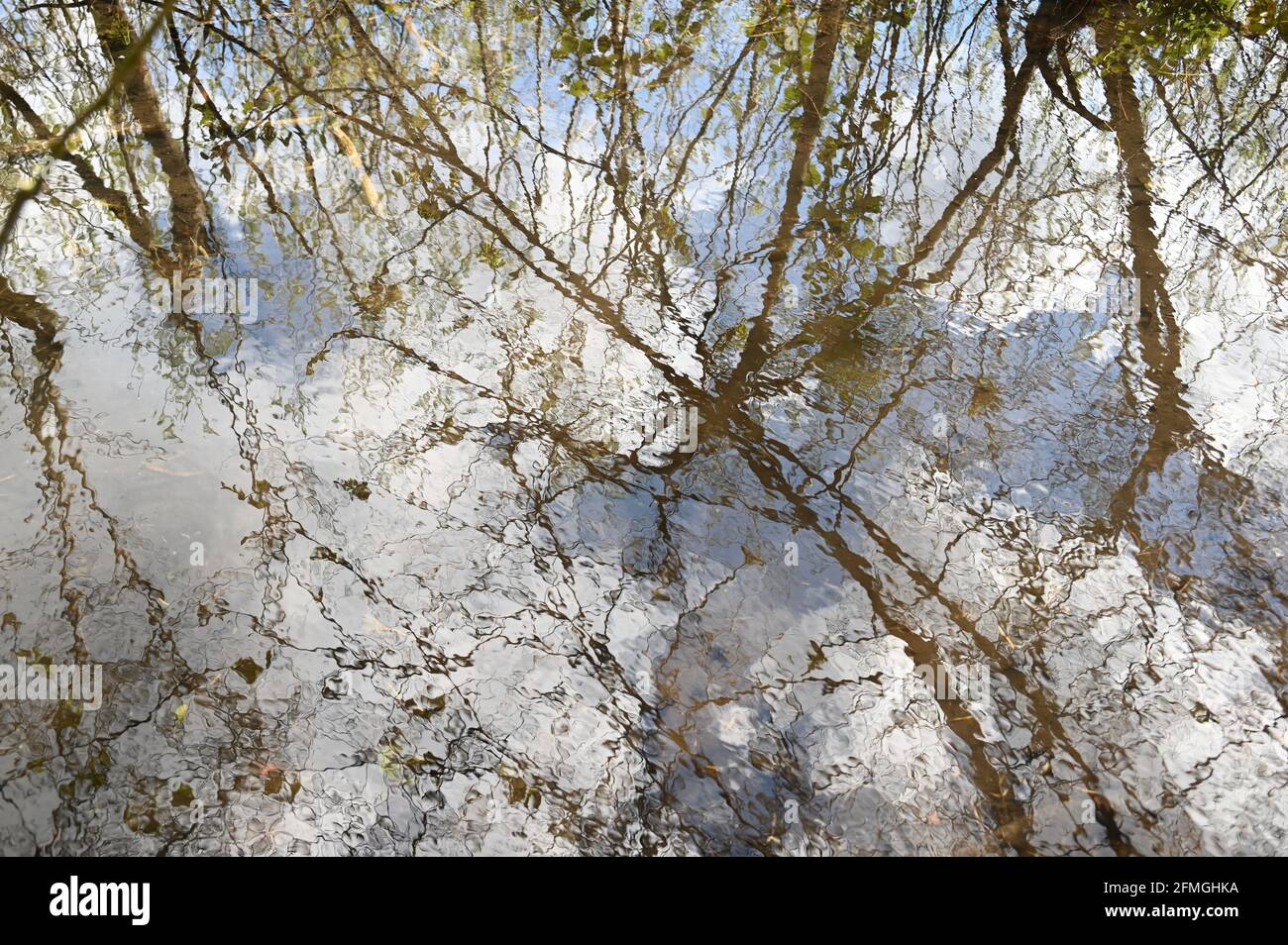 Reflections in the River Cray, Foots Cray Meadows, Sidcup, Kent. UK Stock Photo