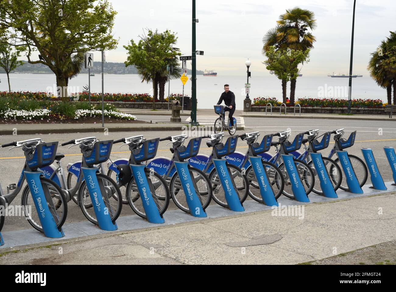 A man returns a Mobi Shaw Go bike share bicycle to an official stand in the West End in Vancouver, British Columbia, Canada Stock Photo